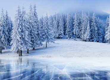 بیت آراندبی Winter