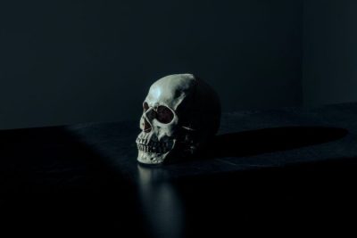 بیت ترپ خرچنگ