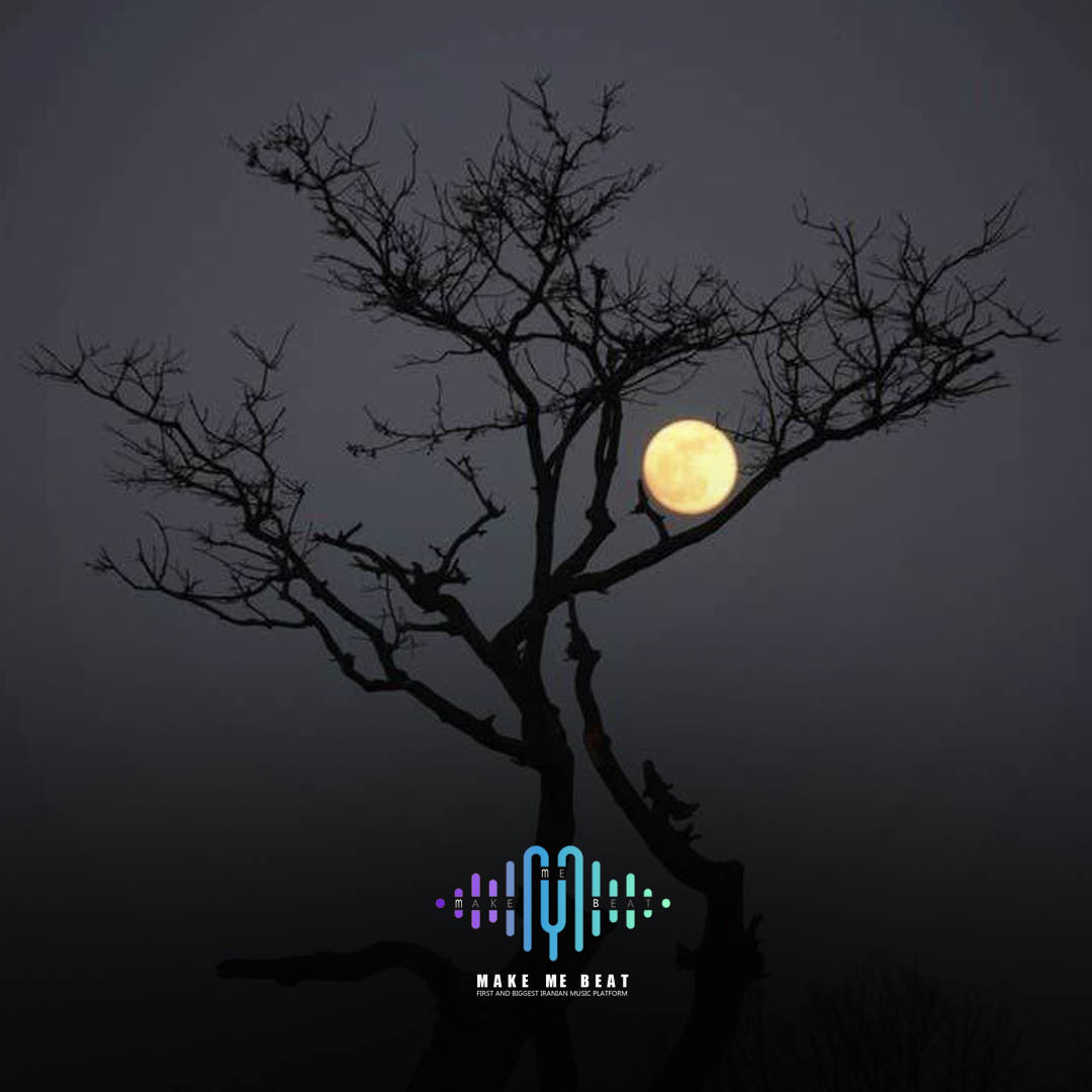 بیت peace of mind