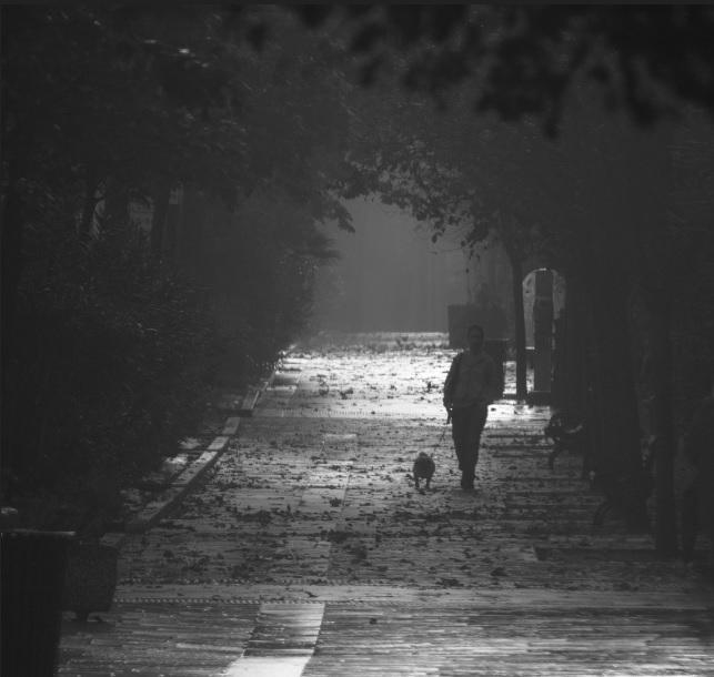 عکس شعر و ملودی